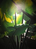 toddphotos 034 